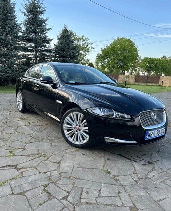 Jaguar XF cena 67900 przebieg: 130000, rok produkcji 2014 z Koronowo małe 211